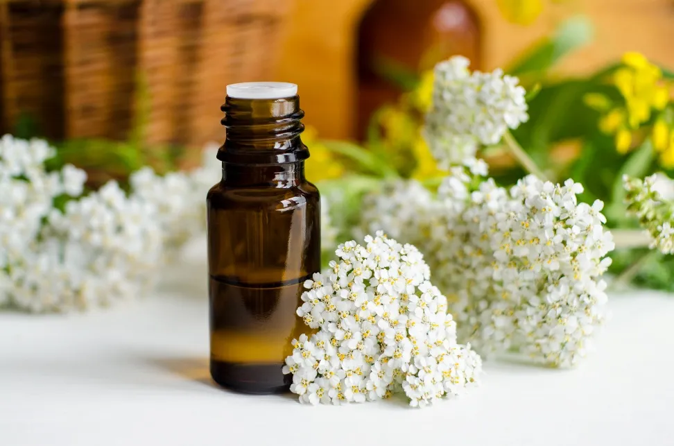 Elderflower extract