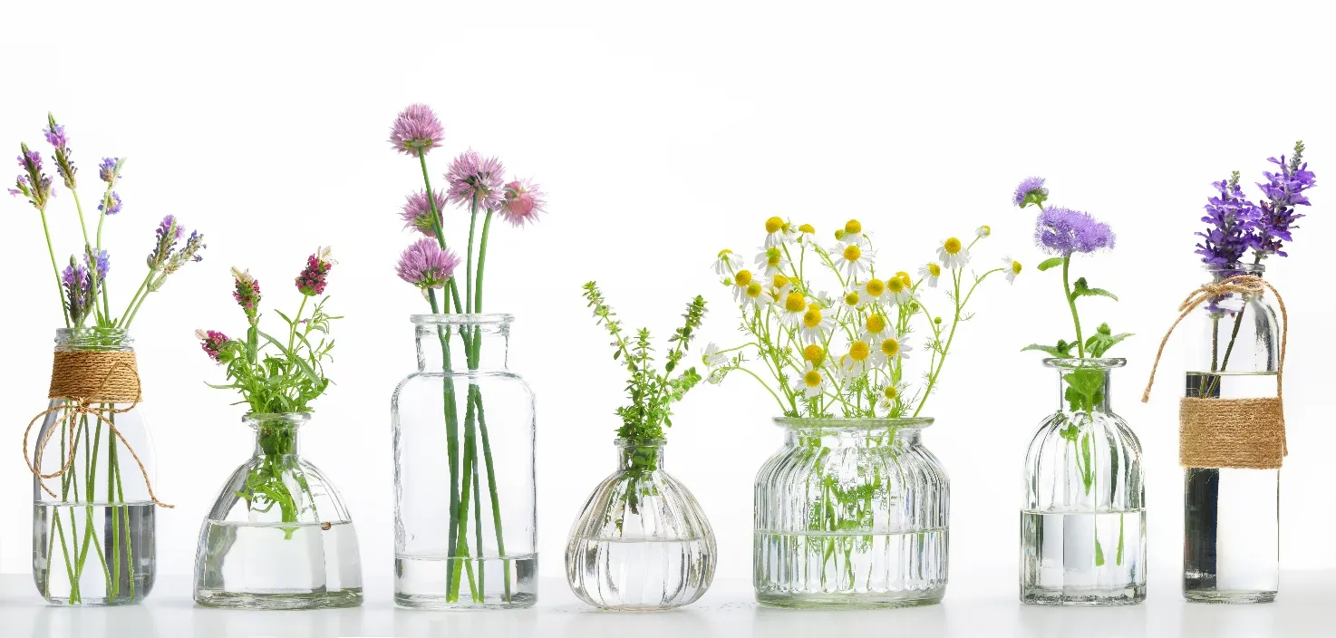 Herbs and natural ingredients