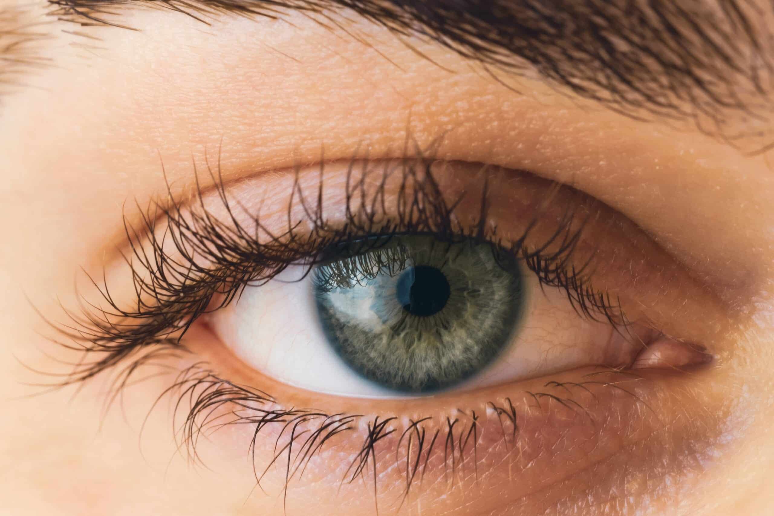 Lash & Brow with Lash Curl