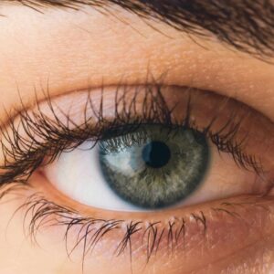 Vippe & bryn med buk - Nordic Skin College